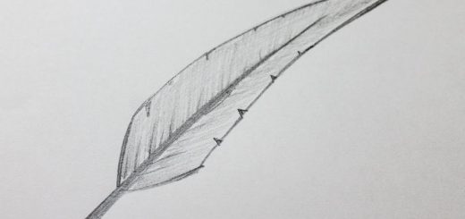 Appel à contribution